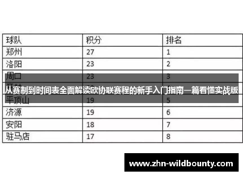 从赛制到时间表全面解读欧协联赛程的新手入门指南一篇看懂实战版