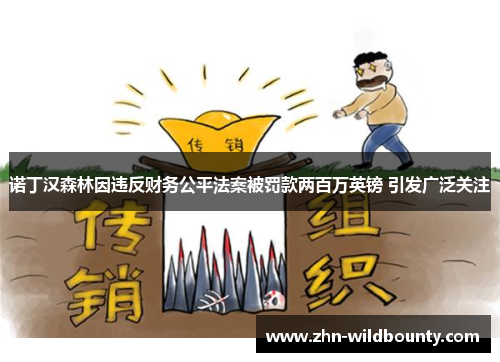 诺丁汉森林因违反财务公平法案被罚款两百万英镑 引发广泛关注 诺丁汉森林因违反财务公平法案被罚款两百万英镑 引发广泛关注