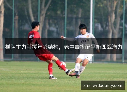 梯队主力引援年龄结构,老中青搭配平衡即战潜力 梯队主力引援年龄结构,老中青搭配平衡即战潜力